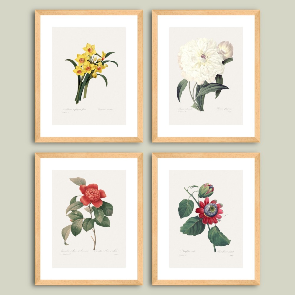Set printuri botanice inrămate Floralia III dim. set 64 x 78 cm