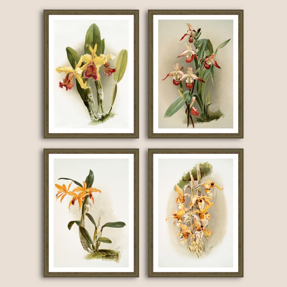 Set postere inrămate Orhidee II dim. set 66 x 90 cm