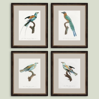 Set postere inrămate Le Rolliers dim. set 76 x 94 cm