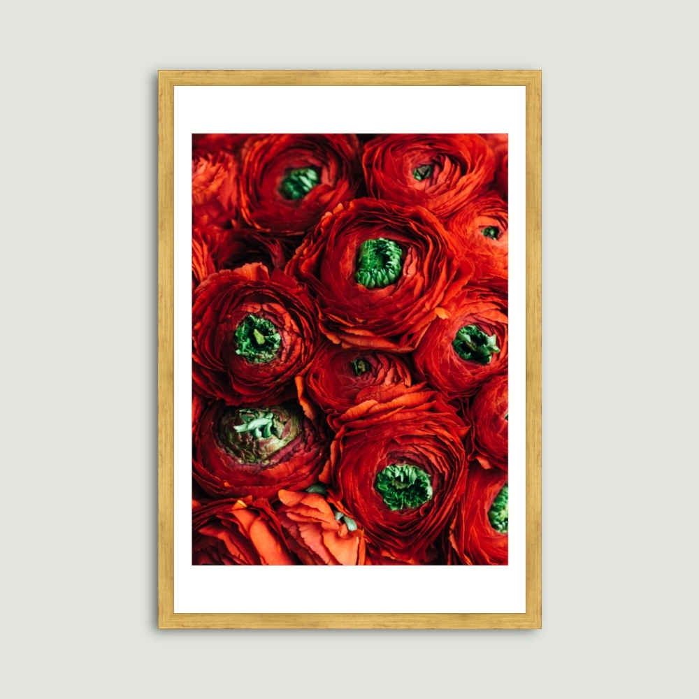 Tablou inramat Trandafiri Red Eye 33 x 48 cm
