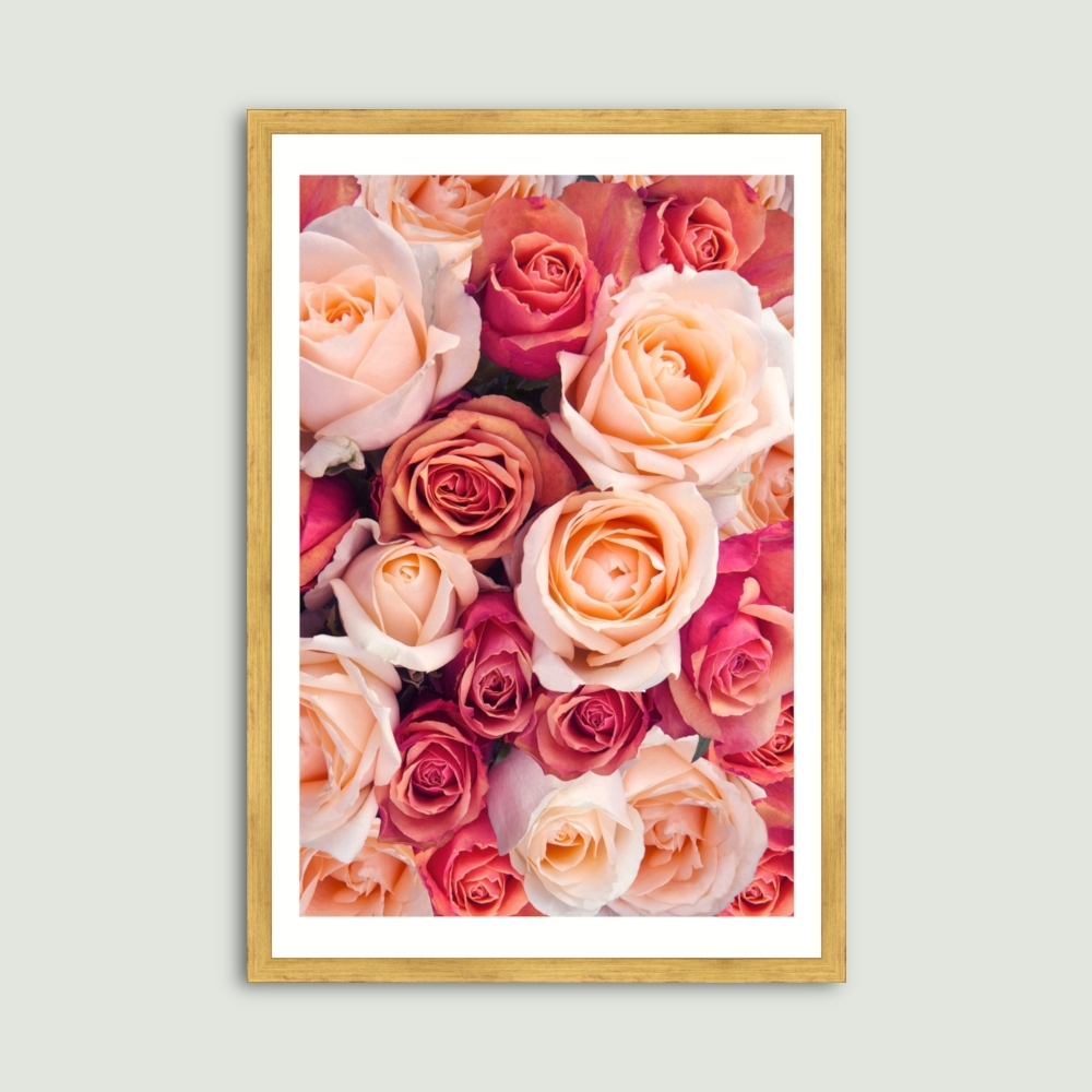 Tablou inramat Buchet trandafiri roz, portocalii, piersicii 33 x 48 cm
