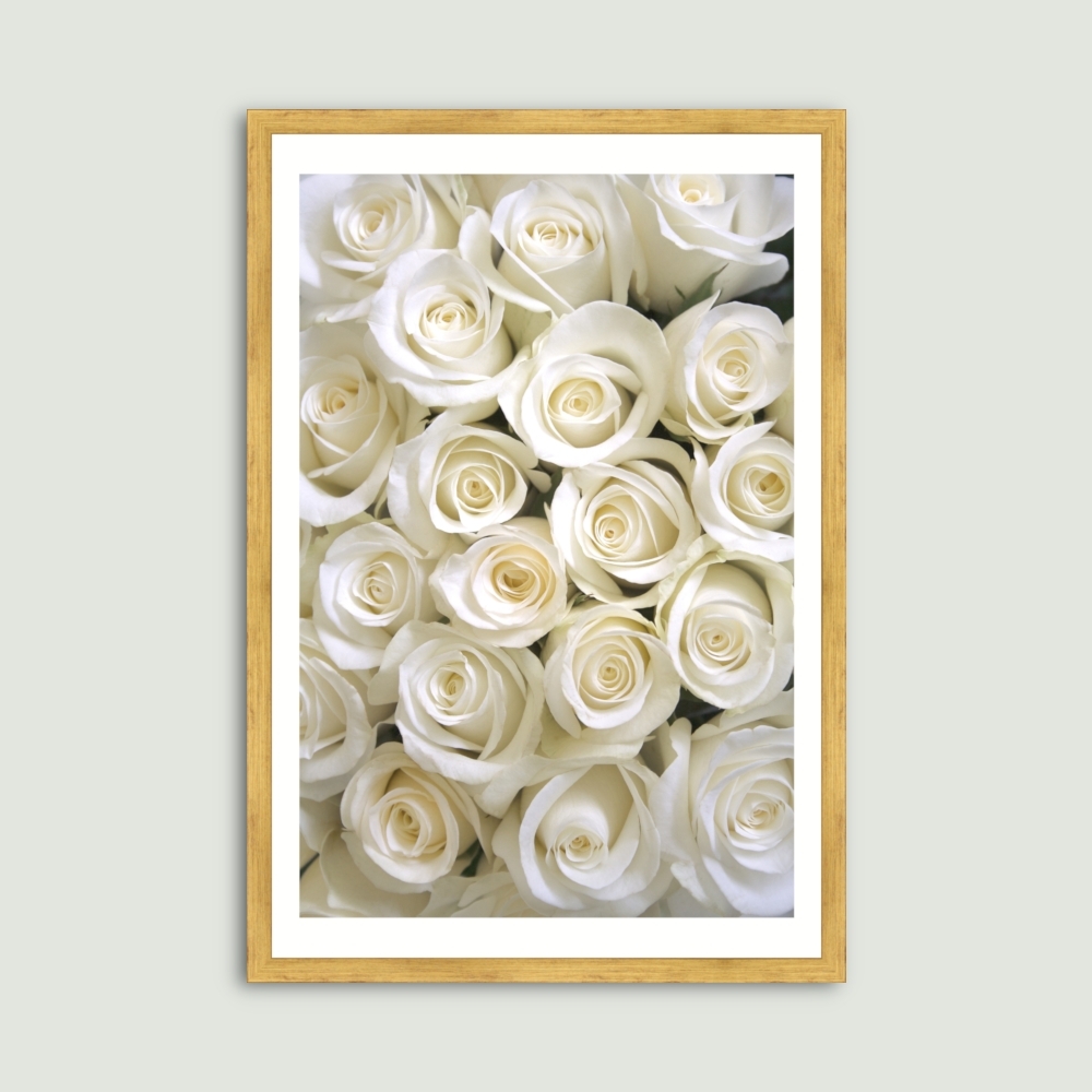 Tablou inramat Trandafiri albi 33 x 48 cm