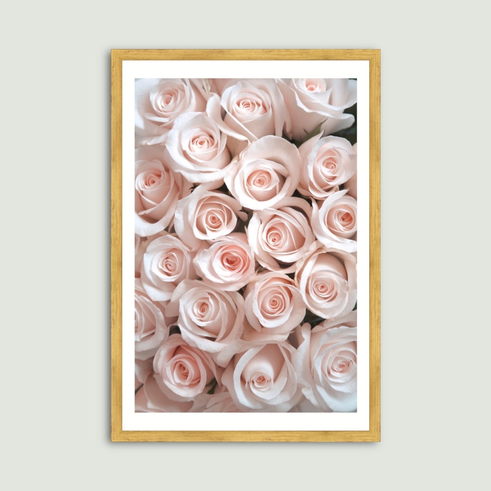 Tablou inramat Trandafiri roz 33 x 48 cm